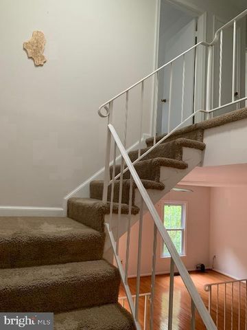 7416 SPRING TREE DR, Springfield, VA 22153