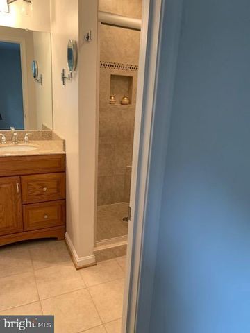 7416 SPRING TREE DR, Springfield, VA 22153