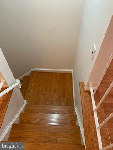 7416 SPRING TREE DR, Springfield, VA 22153