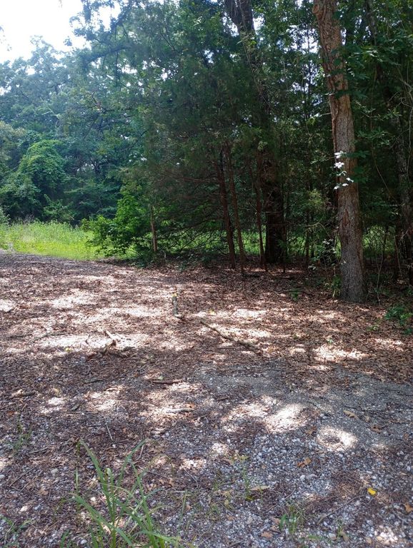 TBD Dogwood, Murchison, TX 75778