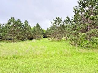 TBD Shelby Drive NE, Bemidji, MN 56601