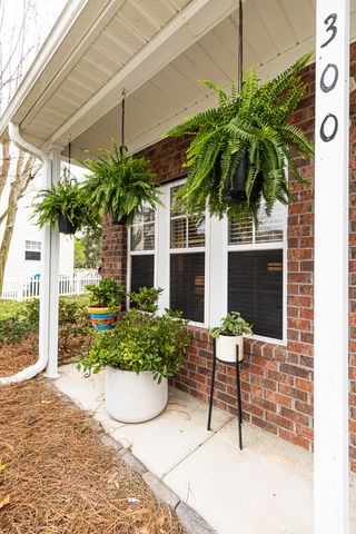 300 Yellow Hawthorn Circle, Summerville, SC 29483