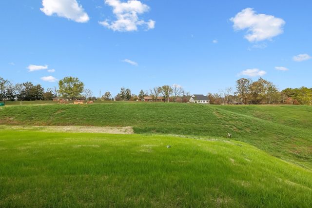 601 Mary Alice Drive, Smyrna, TN 37167