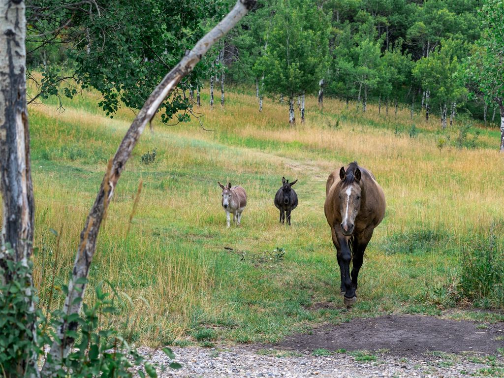 210 Upper Kelly Creek Road, Bozeman, MT 59715 photo 3