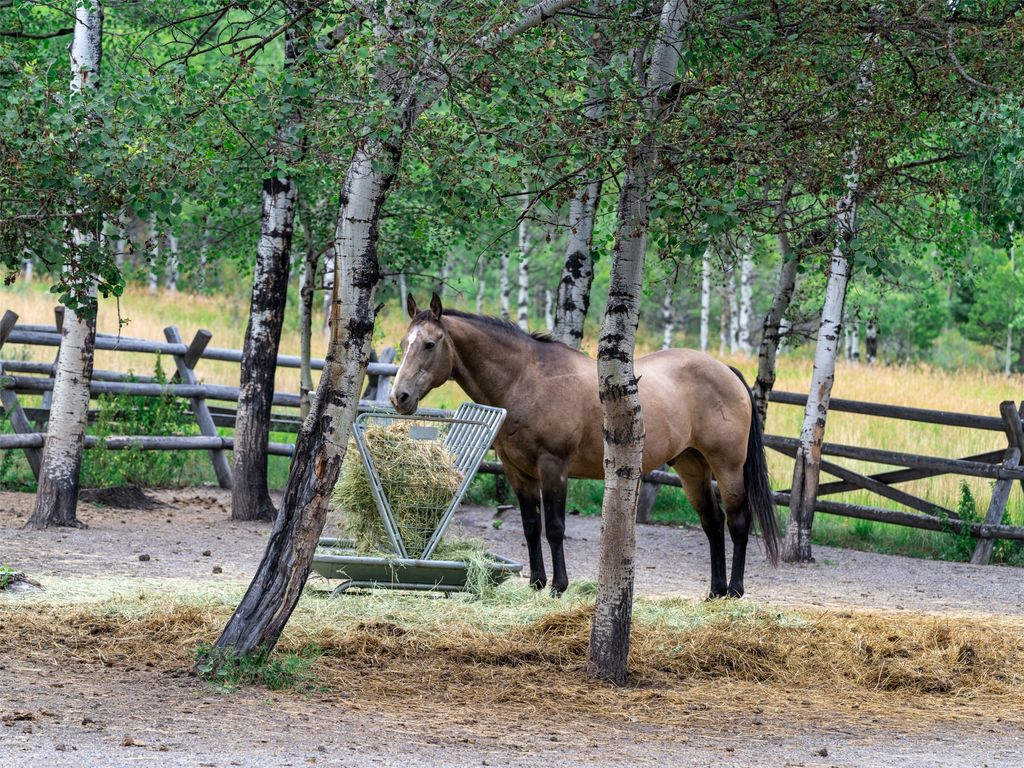 210 Upper Kelly Creek Road, Bozeman, MT 59715 photo 43