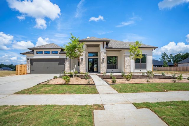 41818 Wendele Way, Todd Mission, TX 77316