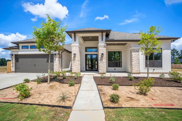 41818 Wendele Way, Todd Mission, TX 77316