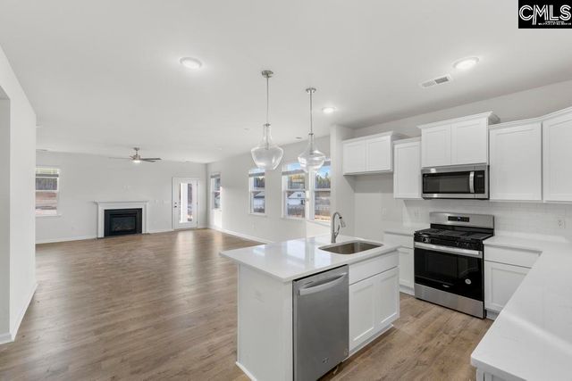 550 Blue Jay Way, Lexington, SC 29073