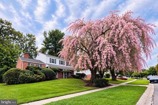 900 LAMBERTON DR, Silver Spring, MD 20902