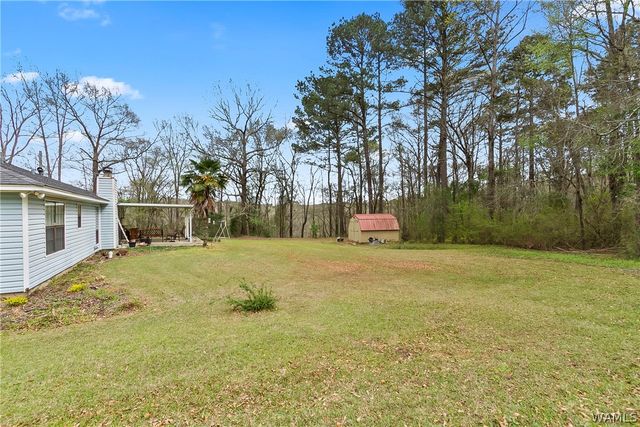 1771 Hurricane, Cottondale, AL 35453