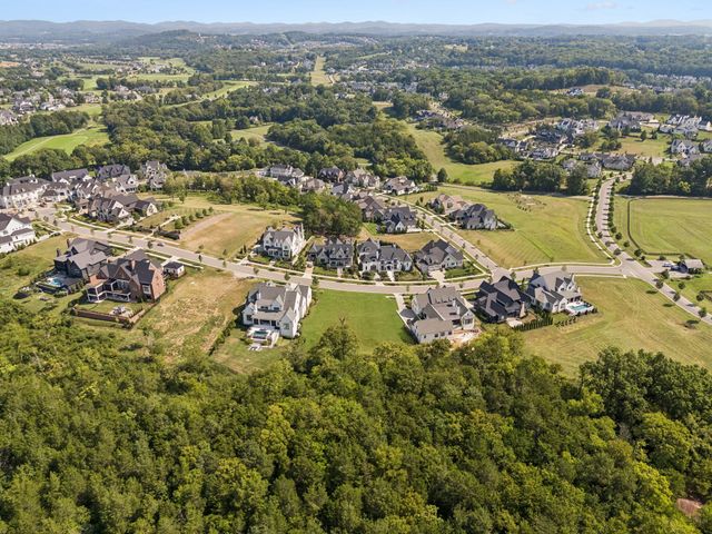 9113 Sawtooth Ln, College Grove, TN 37046