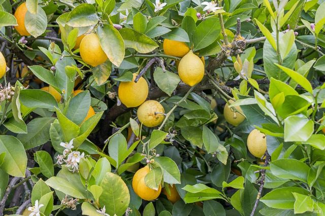 909 Slater St, Santa Rosa, CA 95404