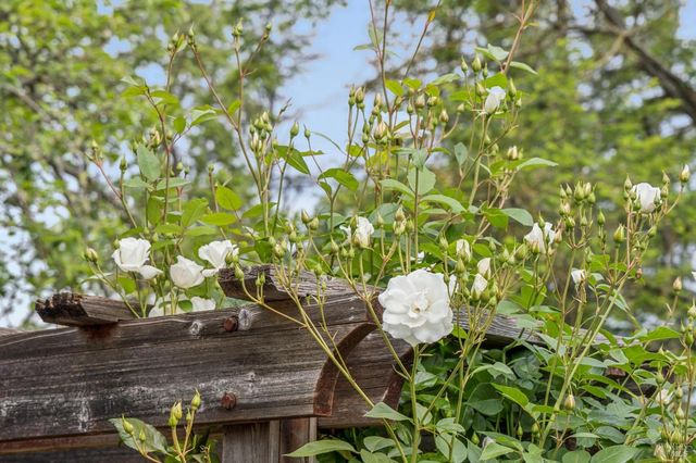 909 Slater St, Santa Rosa, CA 95404