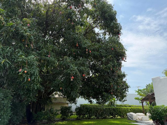 4104 GARDEN Avenue, West Palm Beach, FL 33405