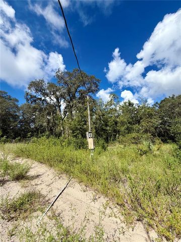 13331 TREATY ROAD, Spring Hill, FL 34610