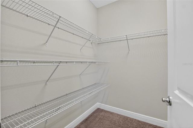 30494 CEASAR PARK DRIVE, Wesley Chapel, FL 33543