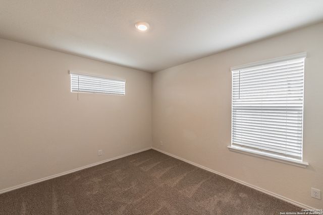 1006 Western Whipbird, San Antonio, TX 78253