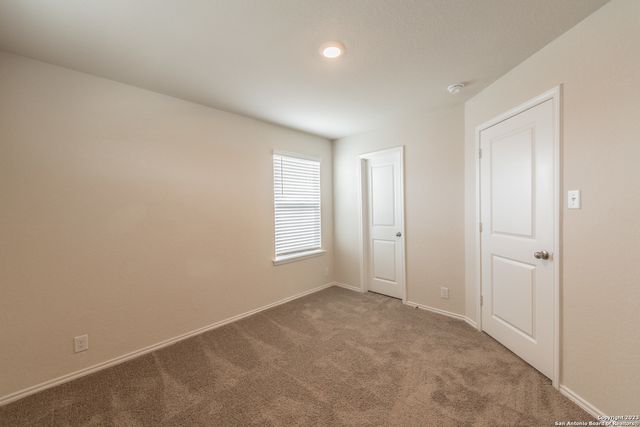 1006 Western Whipbird, San Antonio, TX 78253