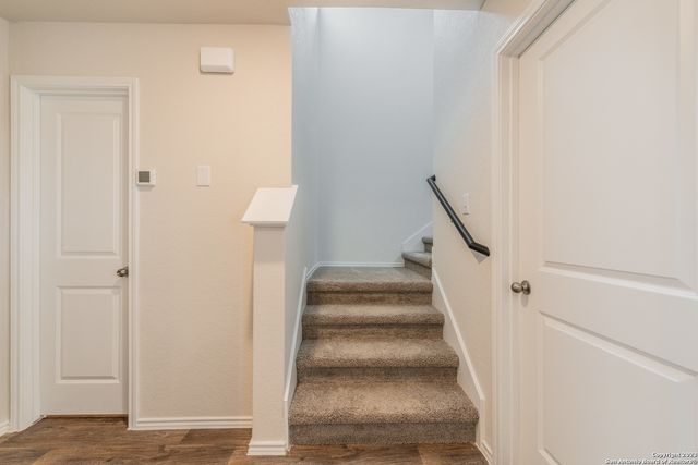 1006 Western Whipbird, San Antonio, TX 78253