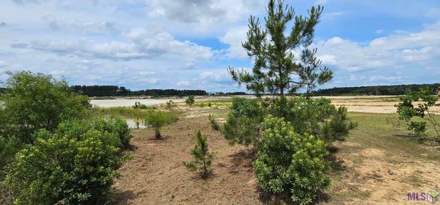 3270 Nesom Rd, Denham Springs, LA 70706