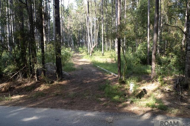 3270 Nesom Rd, Denham Springs, LA 70706