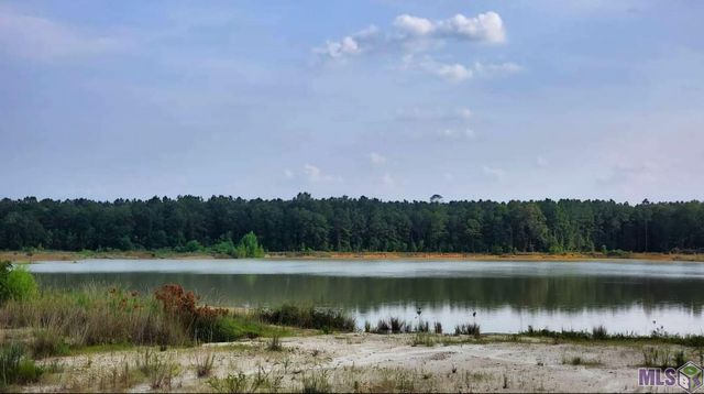 3270 Nesom Rd, Denham Springs, LA 70706