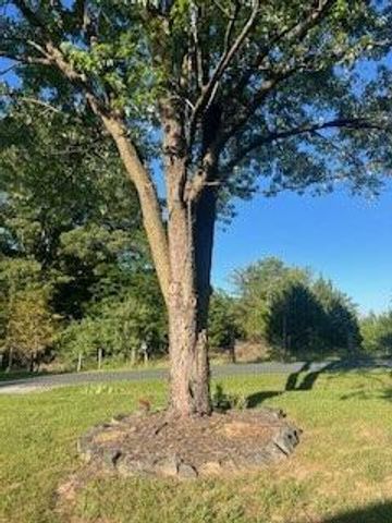 8755 Rocky Ford RD, Moneta, VA 24121