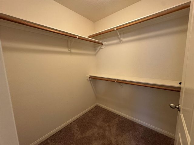 10769 S Lake Mist Lane, Willis, TX 77318