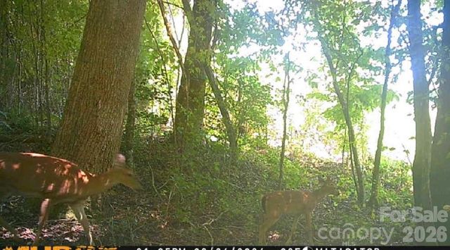 0 E Pine Hill Avenue, Morganton, NC 28655