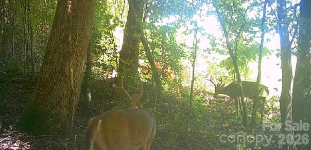 0 E Pine Hill Avenue, Morganton, NC 28655