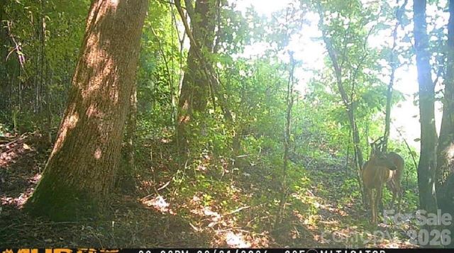 0 E Pine Hill Avenue, Morganton, NC 28655