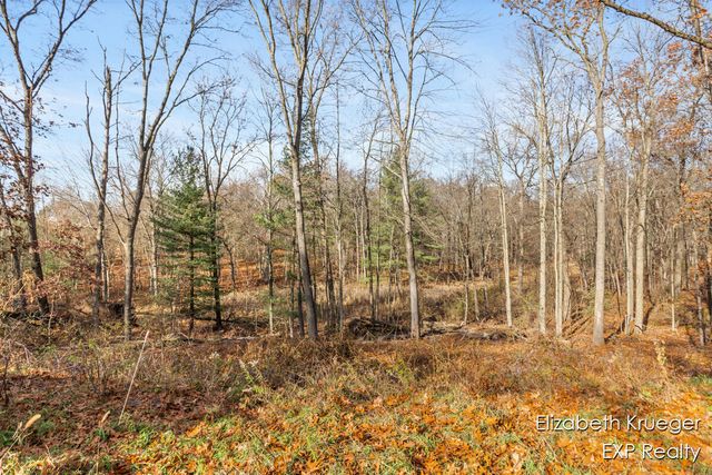 8945 Vergennes Street, Ada, MI 49301