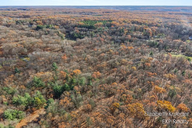 8945 Vergennes Street, Ada, MI 49301