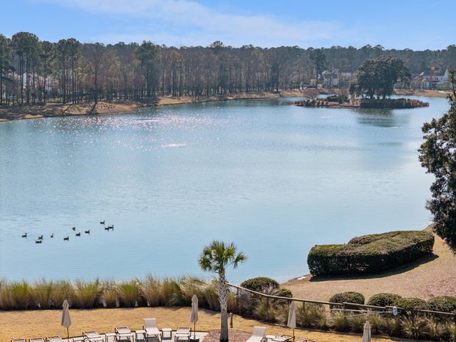 3803 Sawyers Island Dr Drive, Mount Pleasant, SC 29466