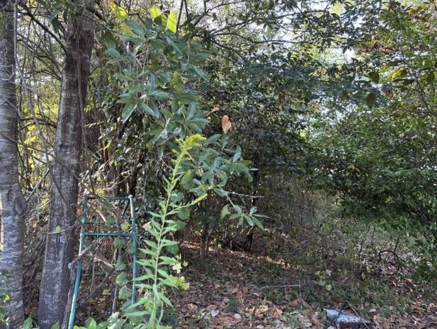 3716 Batre Lane, Mobile, AL 36608