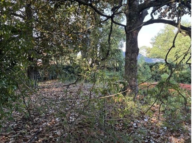 3716 Batre Lane, Mobile, AL 36608