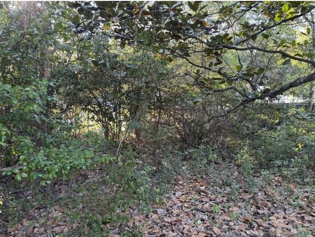3716 Batre Lane, Mobile, AL 36608