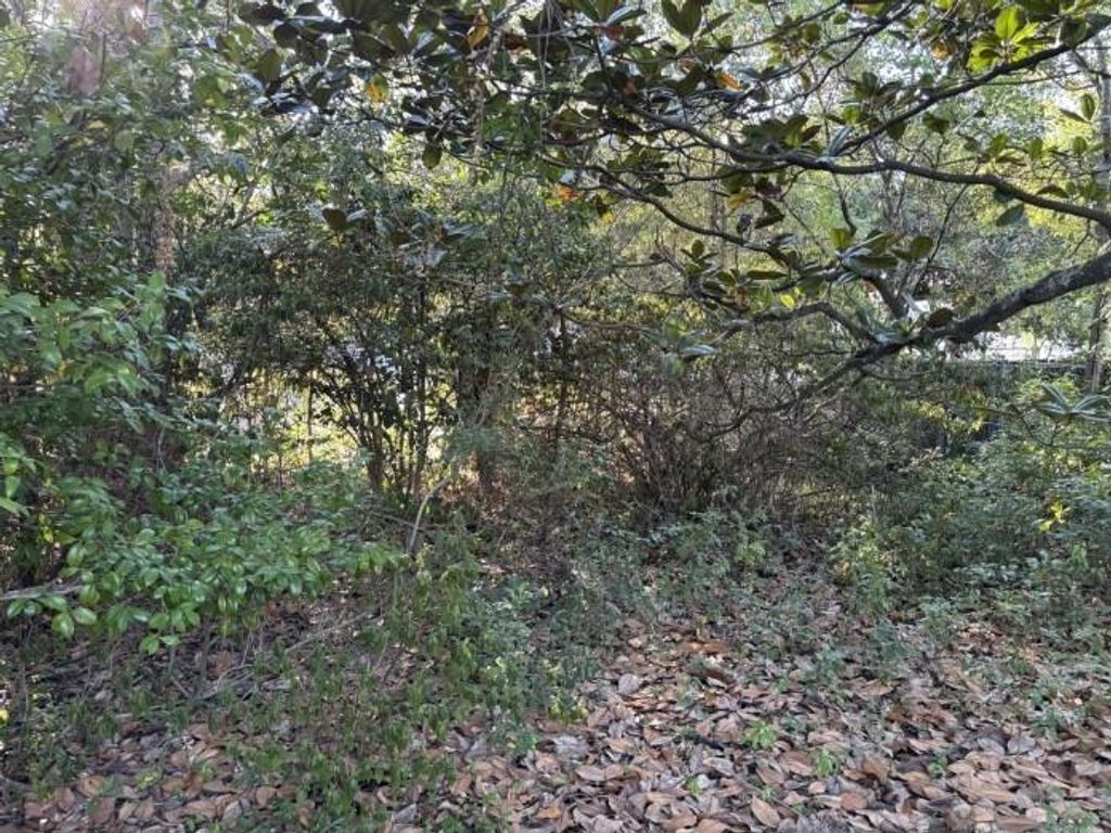 3716 Batre Lane, Mobile, AL 36608
