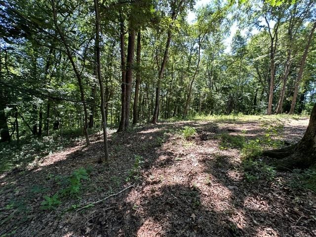 684 Eva Flatwoods Rd, Eva, TN 38333