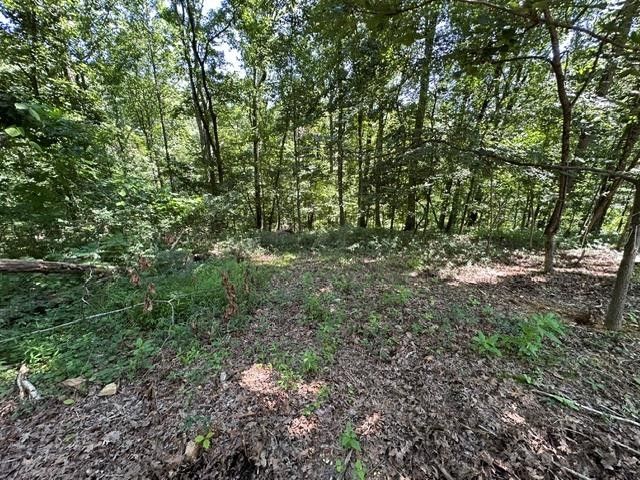 684 Eva Flatwoods Rd, Eva, TN 38333