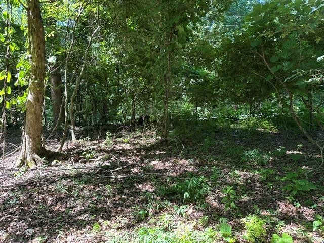 684 Eva Flatwoods Rd, Eva, TN 38333