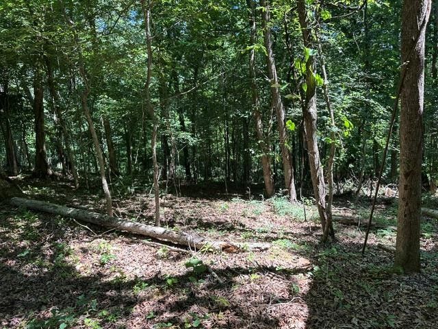 684 Eva Flatwoods Rd, Eva, TN 38333