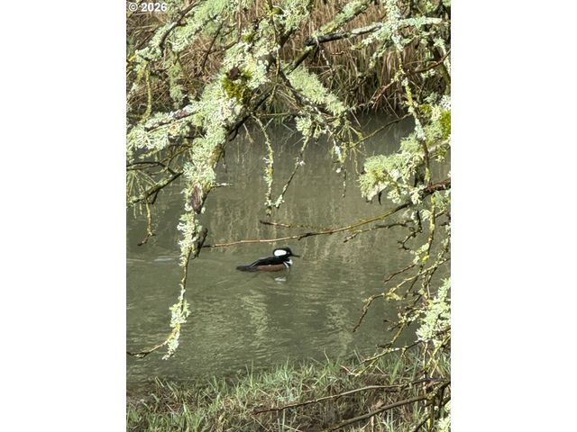 15005 Sw 150TH Ct, Beaverton, OR 97007