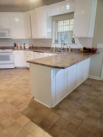 207 Telluride Lane, Midland City, AL 36350
