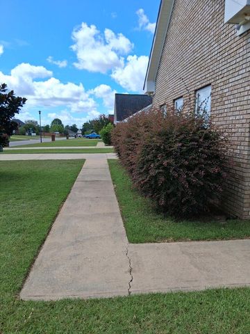 207 Telluride Lane, Midland City, AL 36350