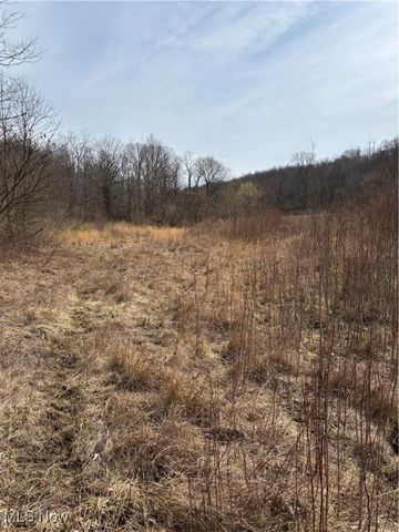 2492 Irish Ridge Road, East Liverpool, OH 43920