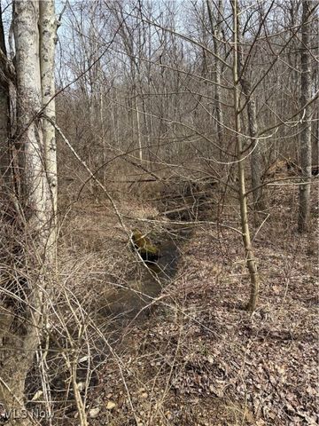 2492 Irish Ridge Road, East Liverpool, OH 43920