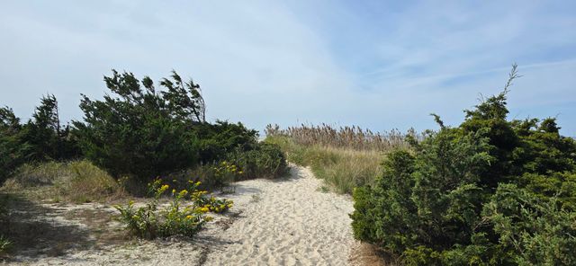 59 Bridge Road, Orleans, MA 02653