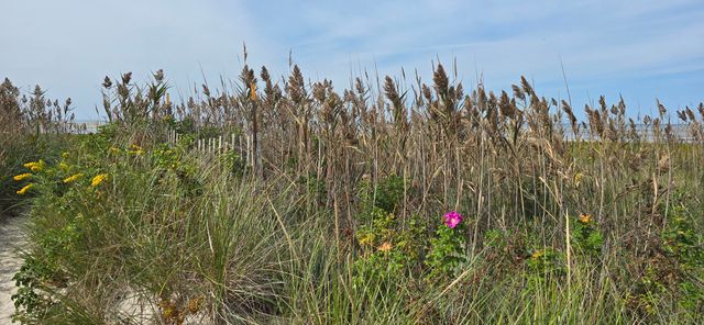 59 Bridge Road, Orleans, MA 02653