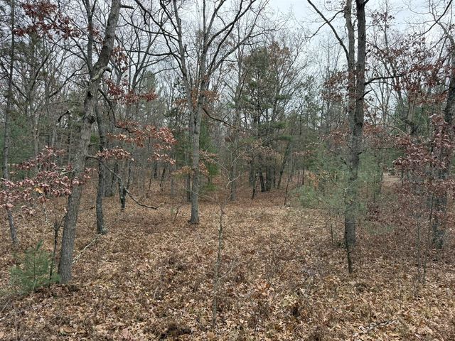 6644 W 9 Mile Road, Irons, MI 49644